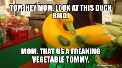 is this a duck or a parrot?