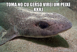Dirty Joke Dogfish