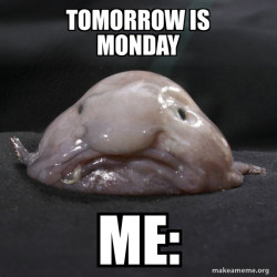 Blobfish