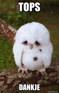 Sad Owl