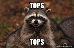 Evil Plotting Raccoon