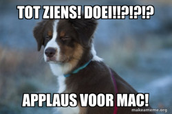 Unsure Dog
