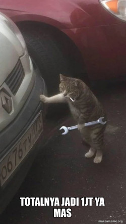 Mechanic Cat