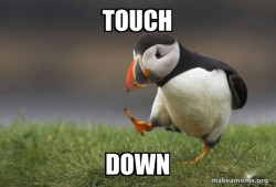 Unpopular Opinion Puffin