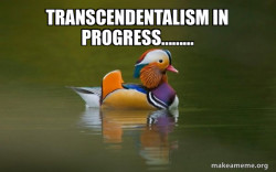 Fashionable Advice Mallard