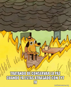 This Is Fine
