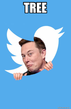 Elon Musk Twitter