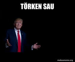 Trump Everything is FIne