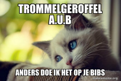 First World Cat Problems