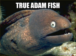 Bad Joke Eel