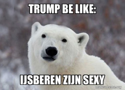 Popular Opinion Polar Bear