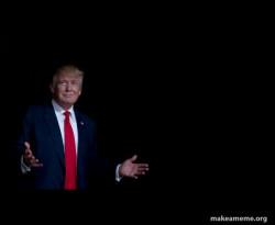 Trump Everything is FIne