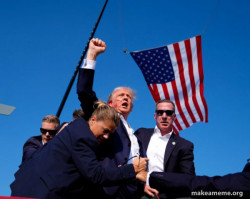 Trump Fist