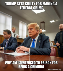 Trump Court Room