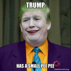 Donald Trump - The Joker