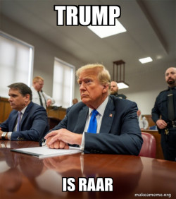 Trump Court Room