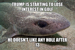 Heard this joke today