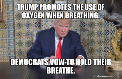 Donald Trump Writing Speech
