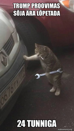 Mechanic Cat