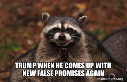Evil Plotting Raccoon