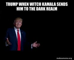 Trump Everything is FIne