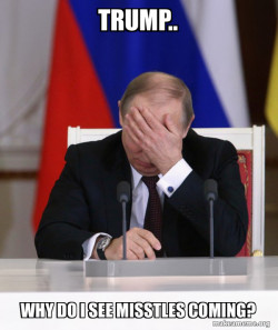 Putin Facepalm