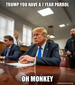 Trump Court Room
