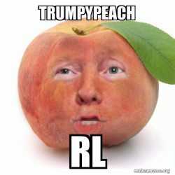 Impeached Donald Trump