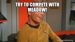 Ridiculously Photogenic Starship Captain