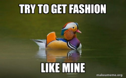 Fashionable Advice Mallard