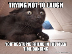 Schitzo Cat