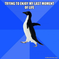 Socially Awkward Penguin