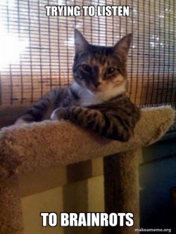The Most Interesting Cat in the World