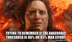 Frodo it's over it's done