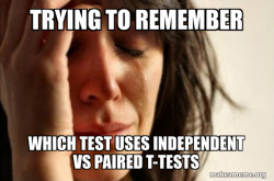 First World Problems