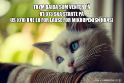 First World Cat Problems