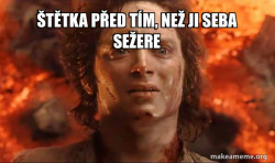 Frodo it's over it's done