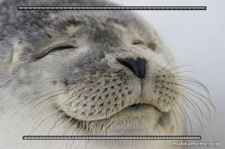 Satisfied Seal