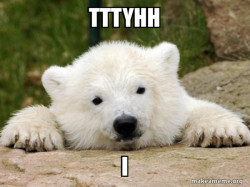 Popular Opinion Bear
