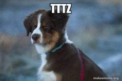 Unsure Dog