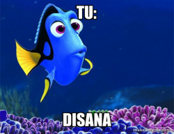 Dory from Nemo  (5 second memory)