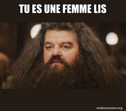 Hagrid - I should not have said that