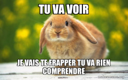 Regretful Rabbit