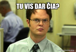 Schrute Facts (Dwight Schrute from The Office)