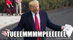 Trump - Impeachment Quid Pro Quo