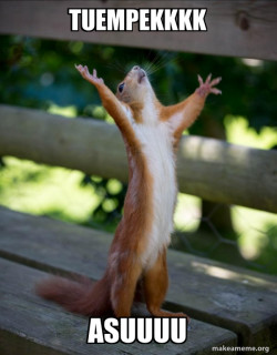 Happy Squirrel