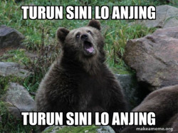 Sarcastic Bear