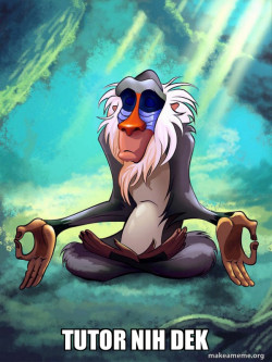 Rafiki Meditating - Lion King