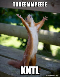 Happy Squirrel