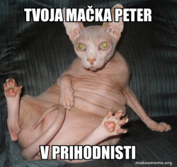 Hairless Cat